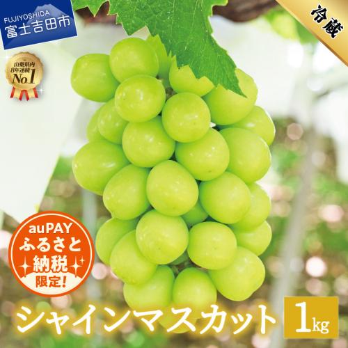 【au PAY ふるさと納税限定】【2026年発送 先行予約】数量限定！山梨県産シャインマスカット約1kg（2～3房）