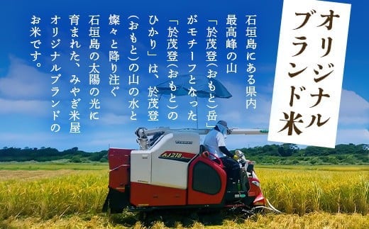 石垣島産 於茂登(おもと)のひかり 5kg みやぎ米屋【 日本一早い新米の産地 石垣 米 お米 産地直送 旬 しきゆたか 沖縄県 石垣市 】MK-1 