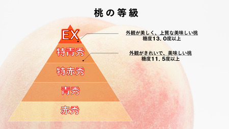 5-11  【令和6年7月上旬から8月上旬発送予定】光センサー桃「エクセレント」2kg