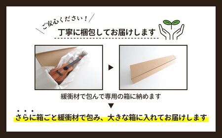 楽器 ウクレレ アルト コンサート ゼファー ウクレレ 楽器