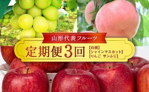 ≪数量限定 期間限定≫2026年先行予約 【山形代表フルーツ定期便】 3回定期便 FSY-2403