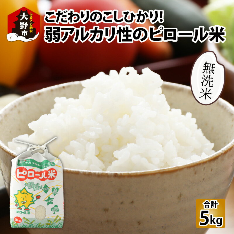 【ふるさと納税】【先行予約】【令和7年産 新米】こだわりの米！弱アルカリ性のピロール米 こしひかり 無洗米 5kg [A-009003]