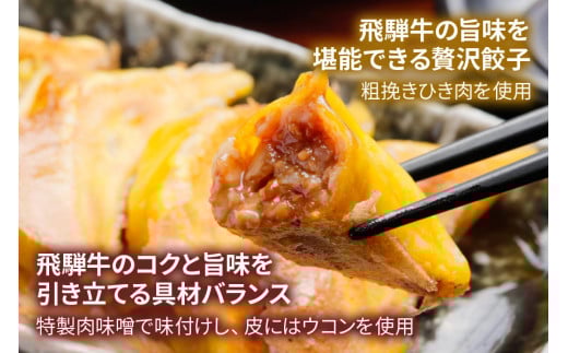飛騨牛のリッチな風味が口中に広がる！「飛騨牛餃子 50個」(50個入×1袋) [0315]