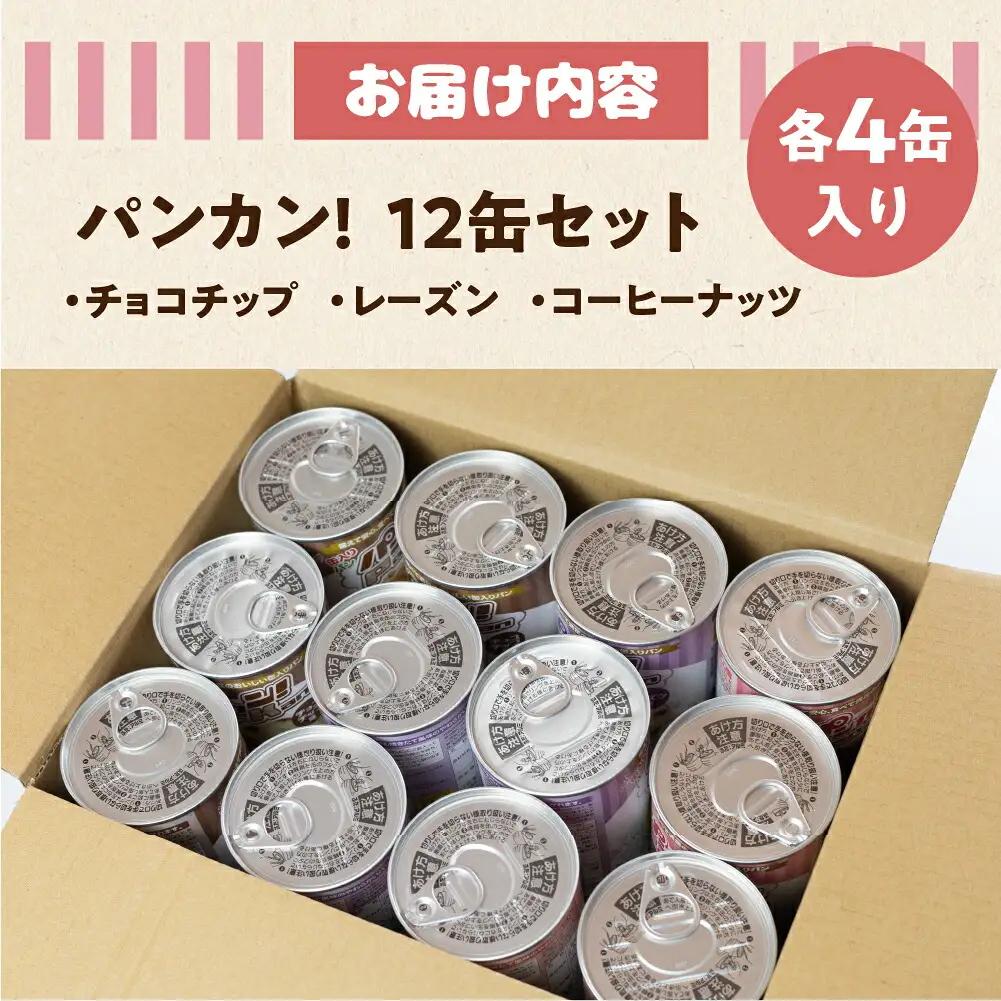 【レーズン 12缶】備えて安心、食べて満足『パンカン！』12缶セット  防災グッズ