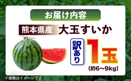 【令和8年熊本地震復興支援 先行予約 2027年5月下旬より発送】訳あり 大玉すいか 1玉 約6kg～9kg 数量限定 / スイカ すいか 西瓜 suika watermelon 大玉スイカ 大玉すいか わけあり キズあり 形不揃い サイズ不揃い ご家庭用 果物 くだもの フルーツ 夏の果物 初夏 夏 夏休み 甘い シャキシャキ 熊本 熊本県 九州【株式会社 Foody’s】[AYAT007]