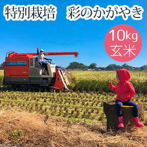 特別栽培 彩のかがやき 玄米10kg No.481
