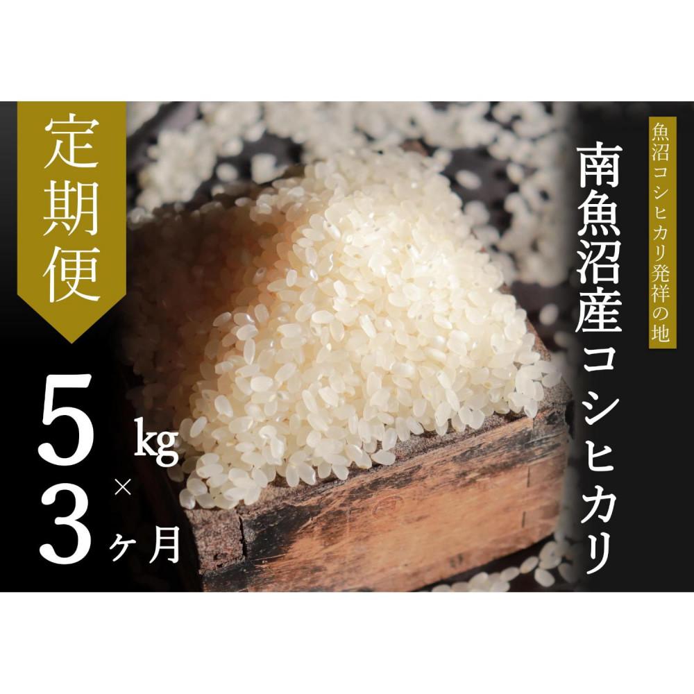 【ふるさと納税】【令和7年産新米予約】【定期便・下旬お届け】5kg×3ヶ月　南魚沼産コシヒカリ【2025年10月下旬より順次発送予定】 | お米 こめ 白米 食品