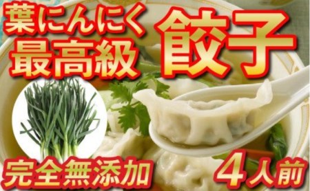 葉 ニンニク餃子 （ 6個x2パック ）餃子 餃子 餃子 餃子 餃子 餃子 餃子