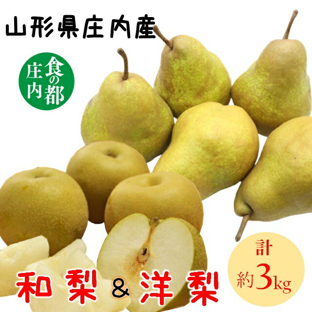 【ふるさと納税】食の都庄内　庄内の和梨＆洋梨　約3kg※9月中旬～10月上旬発送（有限会社庄内旬青果）