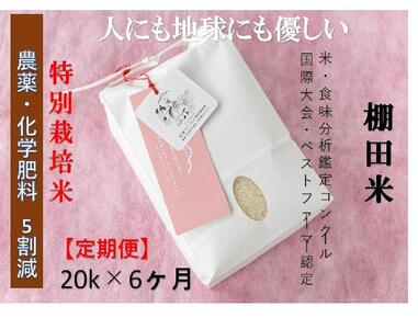 【2025年産新米】【定期便】魚沼コシヒカリ 苗場プリンセス 特別栽培米 農薬化学肥料5割減 精米（20kg）×6回 合計120kg