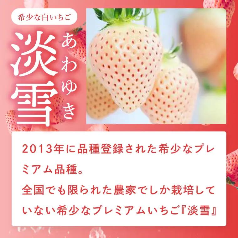 【数量限定】冷凍いちご 希少なプレミアム白イチゴ『淡雪』1kg入×2袋 合計2kg オリジナルレシピ有り（DO-1）