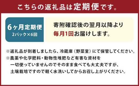 【6回定期便】 マイクロリーフミックス 1回あたり約140g（70g×2個）合計 約840g サラダ 野菜 大分県 九重町産 定期便