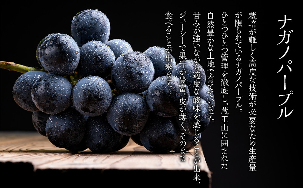 【先行予約】ナガノパープル１房（約500～600g）【8月下旬以降より順次発送】