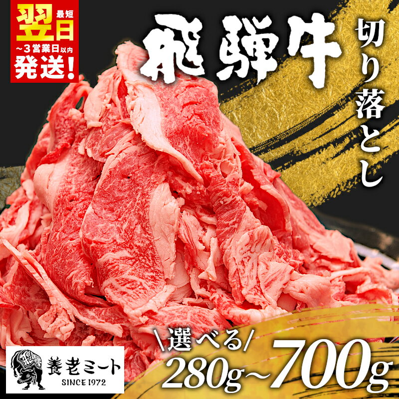 【ふるさと納税】【最短翌日発送】 飛騨牛 切り落とし 280～700g 訳あり 黒毛和牛 牛肉 和牛 肉 お肉 切落し きりおとし 不揃い 赤身 脂身 霜降り にく 切り落し 岐阜県 ブランド牛 国産 人気 すき焼き しゃぶしゃぶ 薄切り ふるさと 冷凍 養老ミート 10000円 1万円