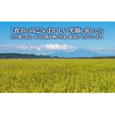 ふるさと納税 鶴岡市 【令和8年産】馬町さくらファームの雪若丸 玄米5kg(5kg×1袋)K-827 |  | 01