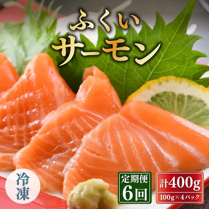 【6ヶ月連続お届け】ふくいサーモン 400g (刺身用) 真空冷凍 100g×4パック×6回【サーモン 鮭 刺身 サケ 小分け 生食 国産】 [H-6202]