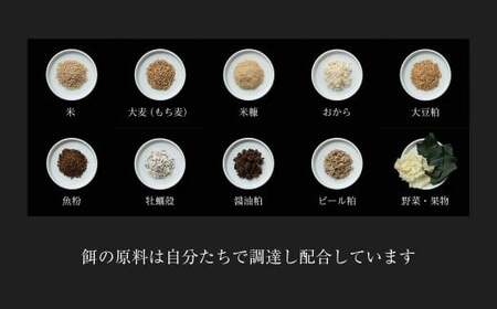 平飼い有精卵60個【全12回定期便】｜毎月届く放し飼い卵（西粟倉村）【配送不可地域：沖縄・離島】t-SS-DpDA