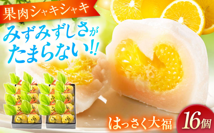お菓子 はっさく大福8個入×2　 お菓子 大福 八朔 柑橘 みかん オレンジ 餅 ギフト お取り寄せ スイーツ フルーツ大福 ご当地 菓子 おかし デザート 食品 人気 おすすめ 広島県福山市/株式会