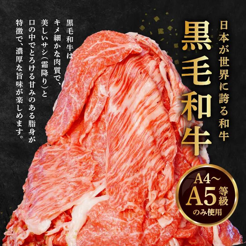 S001-001-T06A_【定期便6回】A4～A5等級 黒毛和牛切り落とし1kg（500g×2P）6か月連続お届け / 【定期便】 6回 ミシュランビブグルマン 獲得 黒毛和牛 切り落とし 500g