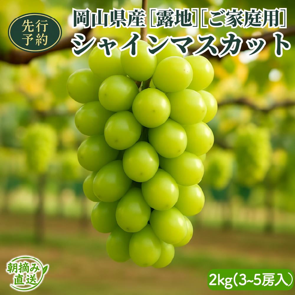 【ふるさと納税】【2025年先行予約】［露地］岡山県産シャインマスカット 2kg （3〜5房入）ご家庭用