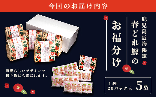 鹿児島近海一本釣り 春どれ鰹の薄削り節 【お福分け】20g(1g×20パック)×5袋 A3-318【1167000】