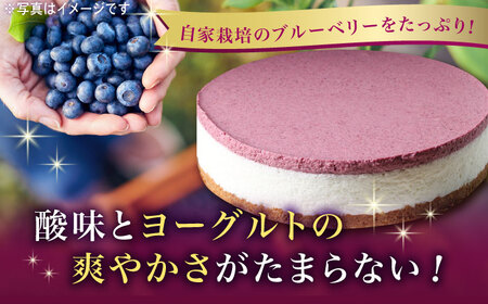 【築上町産ブルーベリー使用】ブルーベリー ヨーグルト ムース ケーキ 1台（18cm）《築上町》【(有)工房よしかわ】 [ABAK002] 国産 ブルーベリー 国産ブルーベリー 使用 ブルーベリーケー