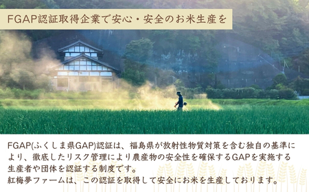 【先行予約】天のつぶ 新世代 白米 5kg | 令和7年産 福島県 南相馬 紅梅夢ファーム