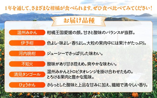【6ヶ月定期便】田縁農園 6種みかんジュースセット 各2本セット×全6回 みかん いよかん 河内晩柑 不知火 きよみ ひょうかん  【ふるさと納税 人気 おすすめ ランキング ジュース みかんジュース