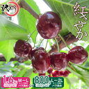 【ふるさと納税】【令和7年産先行予約】［訳あり］ サイズ混合　さくらんぼ 紅さやか バラ詰め ［容量お選びください・800g(200g×4P)・1.6kg(200g×8P)］ 山形県 鶴岡市産 大膳農園 受粉樹 | 返礼品 フルーツ 果物 くだもの 桜桃 お取り寄せグルメ 果実 山形産 ワケあり