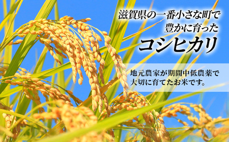 【12月～1月までの限定寄附額】 【定期便】令和7年産新米　滋賀県豊郷町産　近江米 コシヒカリ　5kg×10ヶ月 お米 白米 ごはん ライス 主食 炭水化物 おにぎり  CP1201