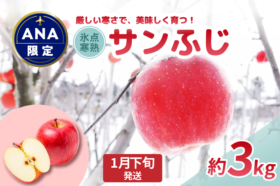 【ANA限定】【2025年1月下旬発送】りんご約3gサンふじ〈氷点寒熟〉青森県産