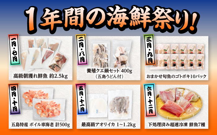 【12回定期便】五島のお魚！満喫定期便（4人前）/五島市 [PZX056]