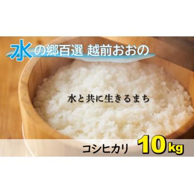 ふるさと納税 大野市 【令和7年産】こしひかり(福井県大野市産)エコファーマー米(白米)10kg(5kg×2袋)