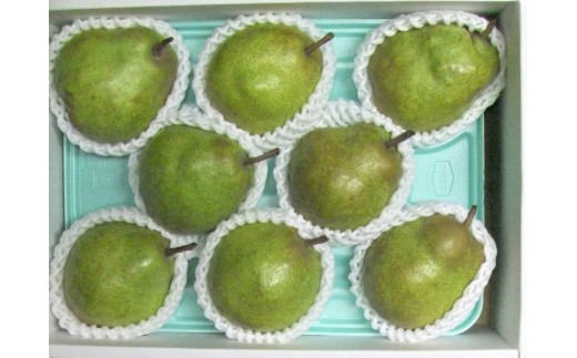 西洋梨（ラ・フランス）３ｋｇ　0030-2629