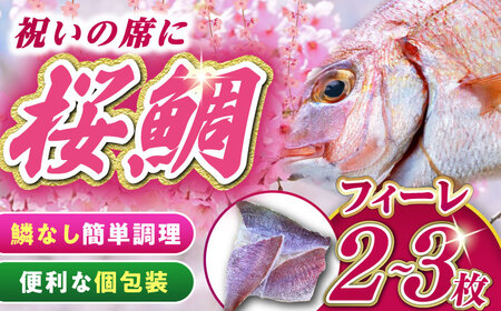 天然 桜鯛 フィーレ 1kg 下処理済 鯛 真鯛 サクラダイ 新鮮たい桜鯛タイ [WCS002]