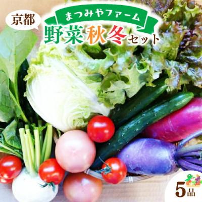 ふるさと納税 京丹後市 【先行予約】京都・まつみやファームの京都の野菜秋冬セット(5品)(2025年11月中旬〜発送予定)
