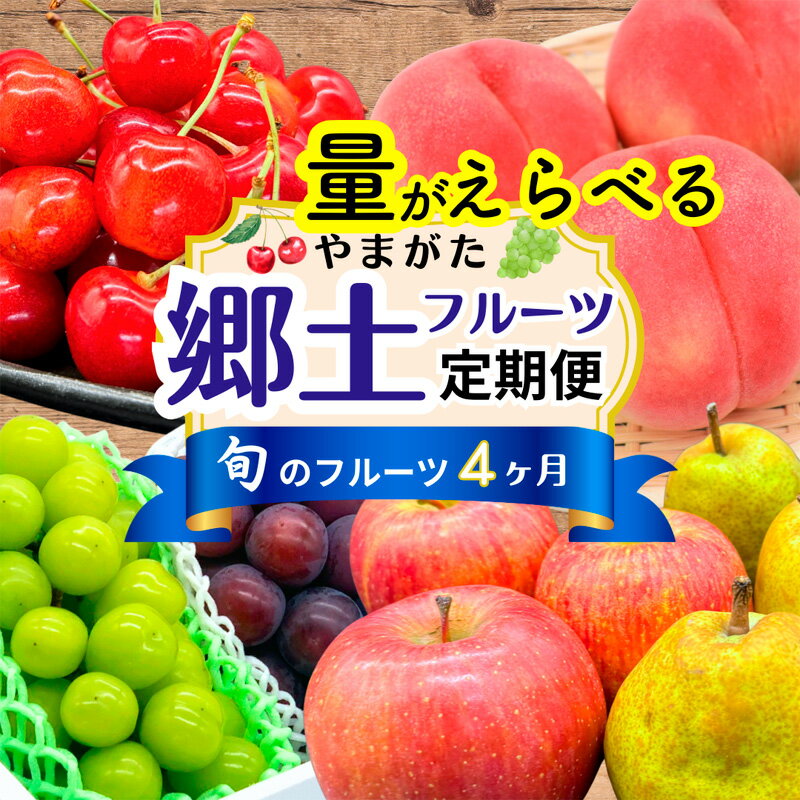 【ふるさと納税】【定期便4回】やまがた 郷土フルーツ定期便 (佐藤錦・やわらかめ白桃・シャインマスカットとピオーネ・りんごとラ・フランス) FZ23-929 FY25-342 満足サイズ 食べきりサイズ くだもの 果物 フルーツ 山形 山形県 山形市
