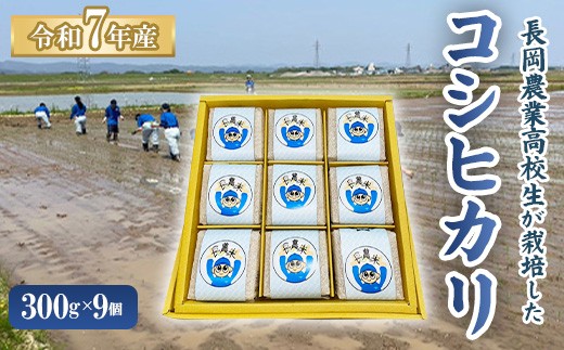 
            67-19【令和７年度産】長岡農業高校の生徒が栽培したコシヒカリ300g×9個
          