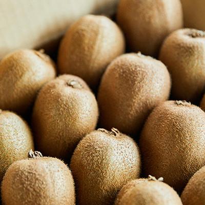 ふるさと納税 船橋市 船橋産キウイフルーツ未追熟バラ詰め2.8kg　未追熟バラ詰め　(傷み補償分約100g込み) |  | 02