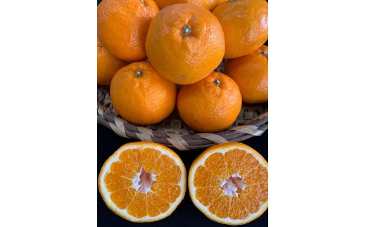 
完熟はるみオレンジ 赤秀品 12玉入り
