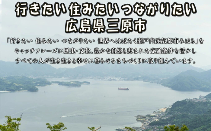 三原やっさラーメン 4食入り とんこつ醤油 熟成生縮れ まじま製麺 とんこつ ラーメン 拉麺 お取り寄せ ギフト 009001