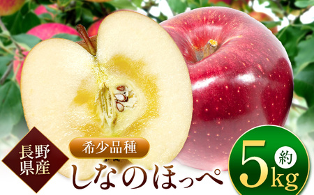 【先行受付】サンふじの血を引く信州オリジナル新品種。潤沢な蜜入りに期待！ シナノほっぺ 5kg