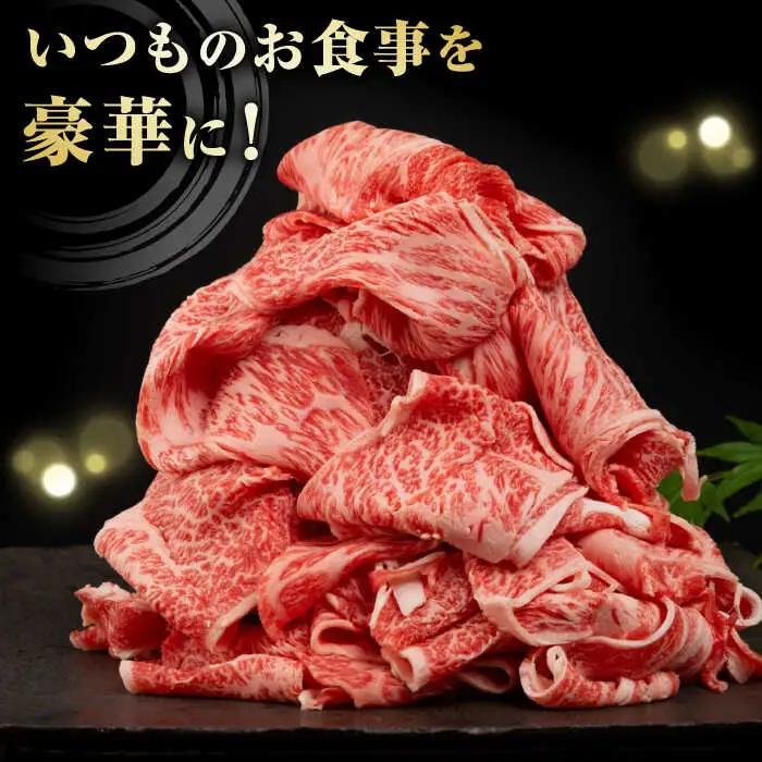 長崎県産黒毛和牛切り落とし 720g（360×2） [JGF001]和牛