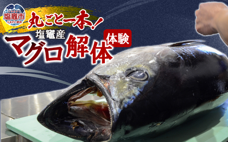 塩竈産マグロ解体体験！丸ごと1本食べつくそう！ ｜ gt00001 塩竈市 塩竈