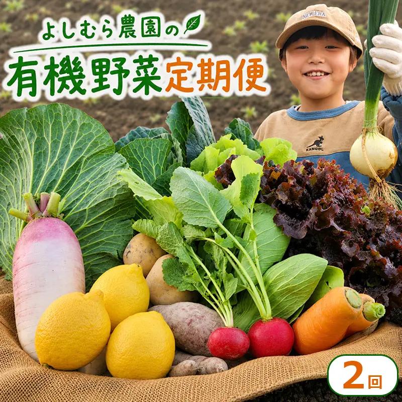 【定期便2回】 有機野菜 オーガニック野菜