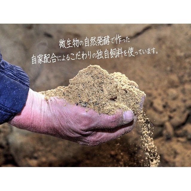 しゃぶしゃぶ肉 もも肉 1.5kg (500g×3) コクのある旨味とジューシーさが特徴 長谷川の自然熟成豚 豚 ぶた ブタ 豚肉 肉 お肉 しゃぶしゃぶ しゃぶしゃぶ用 しゃぶしゃぶ用肉 モモ肉 青
