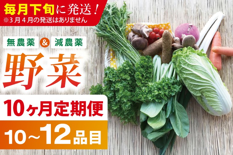 
                  【10ヶ月定期便】★毎月下旬発送★身体が喜ぶ季節の野菜 10～12品目｜野菜 やさい 野菜セット セット 詰め合わせ おまかせ 定期便 野菜定期便 茨城県 行方市(BI-111)
                