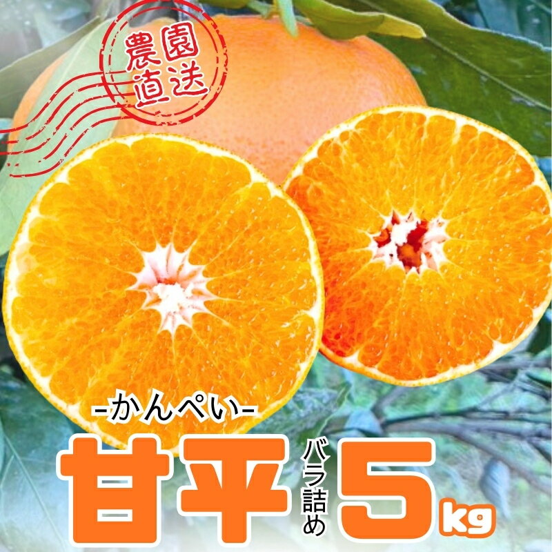 【ふるさと納税】みかん 甘平 5kg Mサイズ バラ詰め 農園直送 先行予約 【2月上旬から順次発送予定】 愛媛 数量限定 愛媛県産 人気 柑橘 伊予市｜ B515