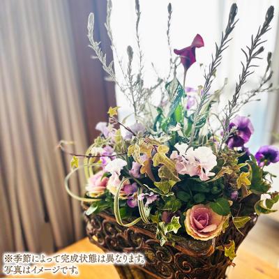 ふるさと納税 幸田町 Botanical Mlange 〜お花とリーフが調和する根付き植物アレンジメント〜 |  | 02