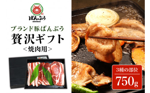 ブランド豚「ばんぶぅ」化粧箱入りギフト 焼肉用 750g 冷凍便 750グラム 豚肉 豚ロース 豚肩ロース 豚バラ肉 豚ばら肉 スライス うす切り 薄切り 焼き肉 ぶた肉 ブタ肉 国産 茨城県産 プレゼント 贈り物 贈答品 お祝い 42-BB